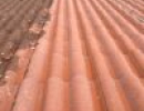 1000079726