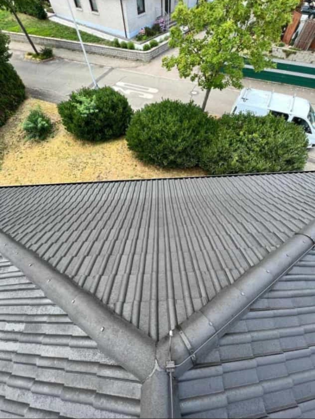 Dachreinigung & Dachbeschichtungen vom Experten